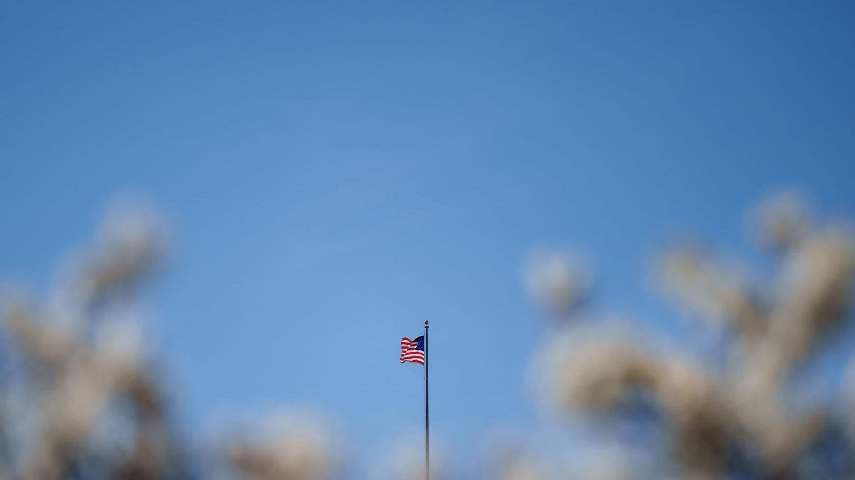 Advice King: Should Progressives Vote, or Let It All ‘Burn’?